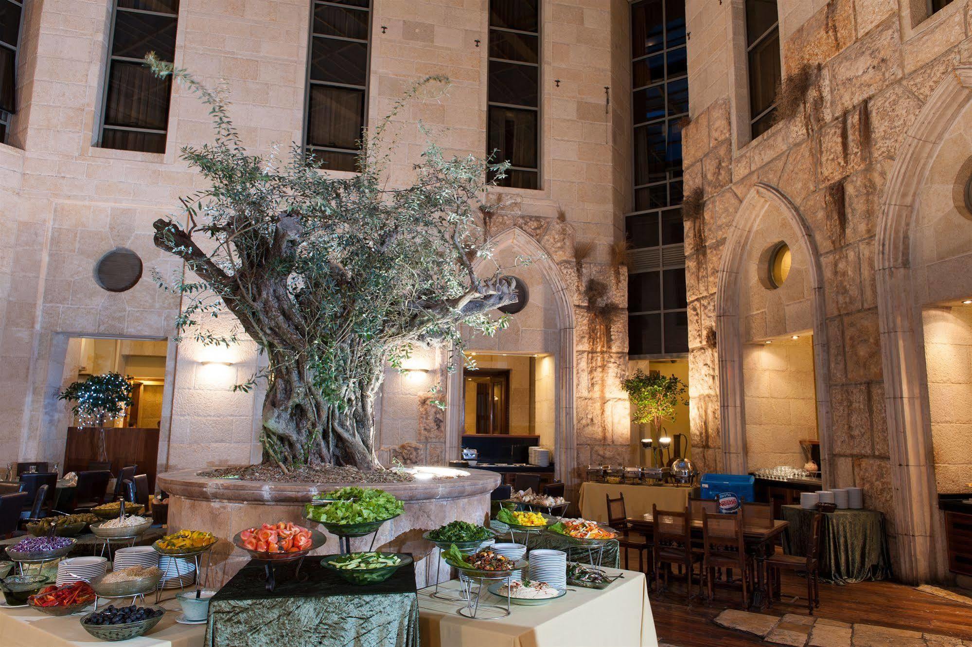 Olive Tree Jérusalem